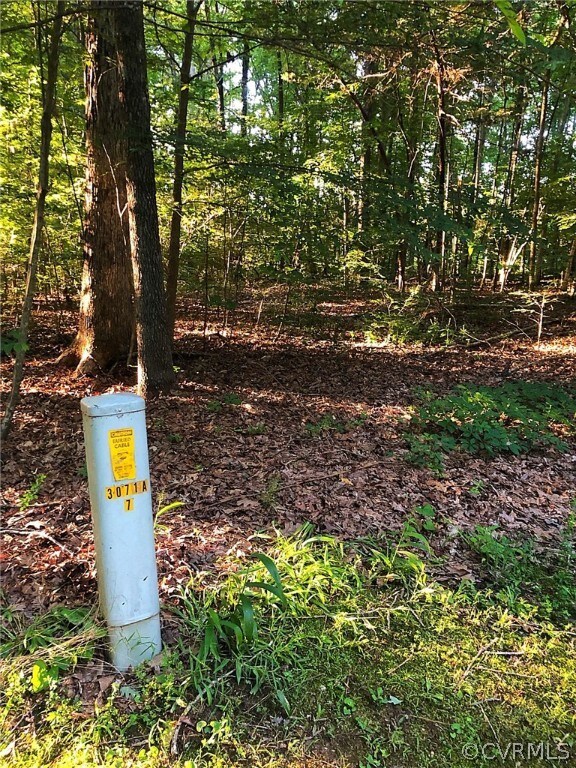 0 Beaver Ln unit 1919892, Amelia, VA 23002 - photo 7