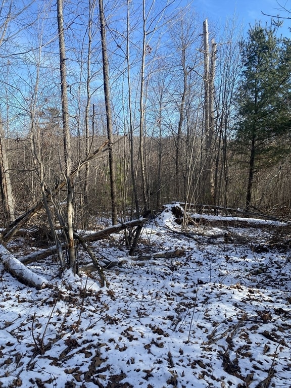 121 & lt12 Sturbridge Rd, Brimfield, MA 01010 - photo 2