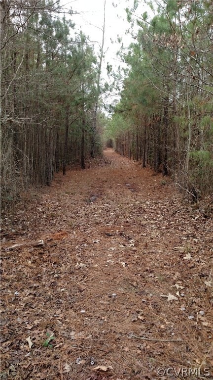 00000 Prince George Dr, Prince George, VA 23842 - photo 4