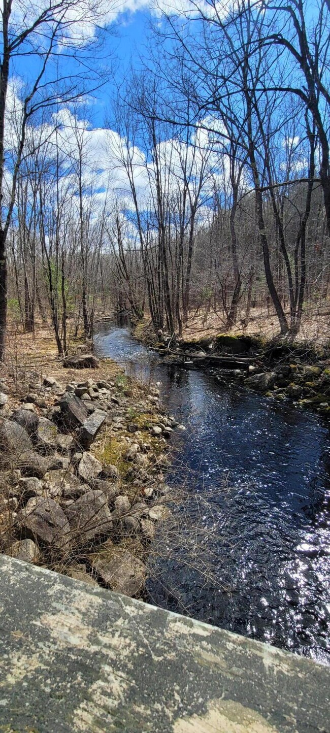 Brook Pic