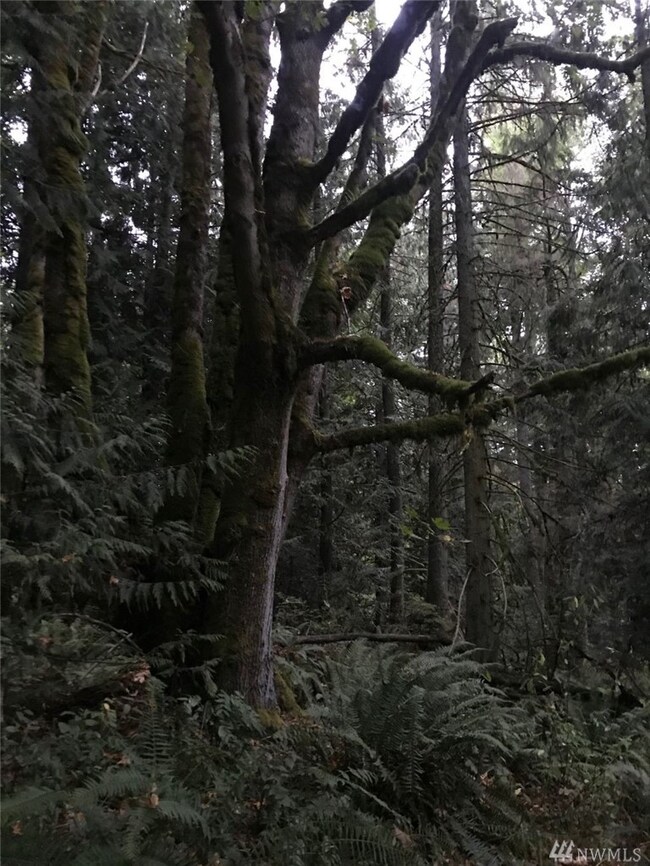 216 216th St E, Graham, WA 98338 - photo 2