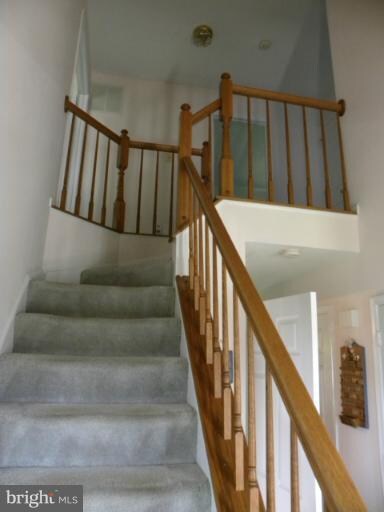 326 Kalorama Rd, Sykesville, MD 21784 - photo 5