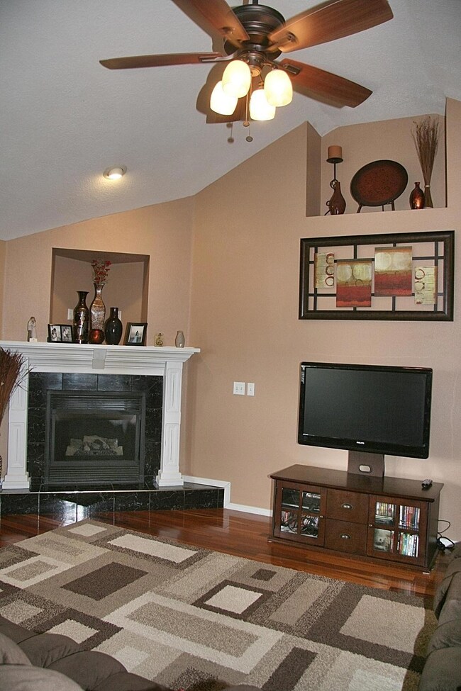 Living fireplace