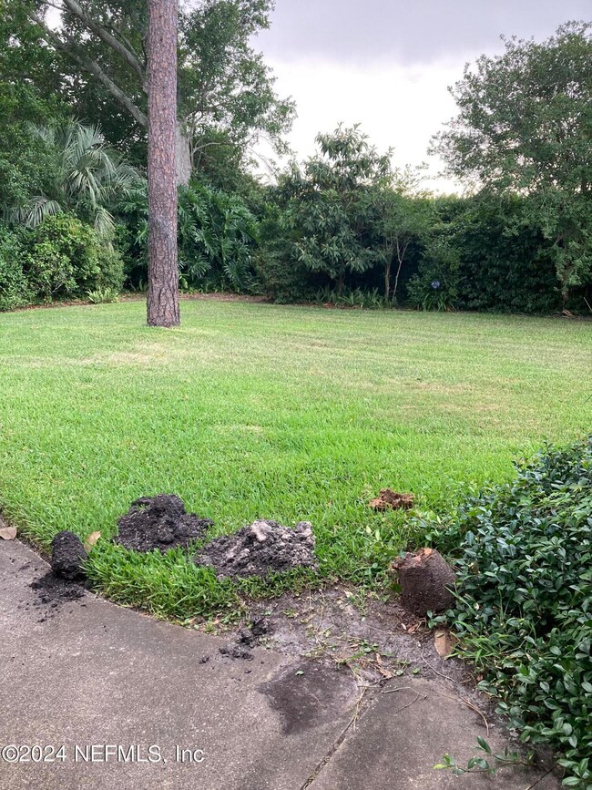 1222 Molokai Rd, Jacksonville, FL 32216 - photo 6