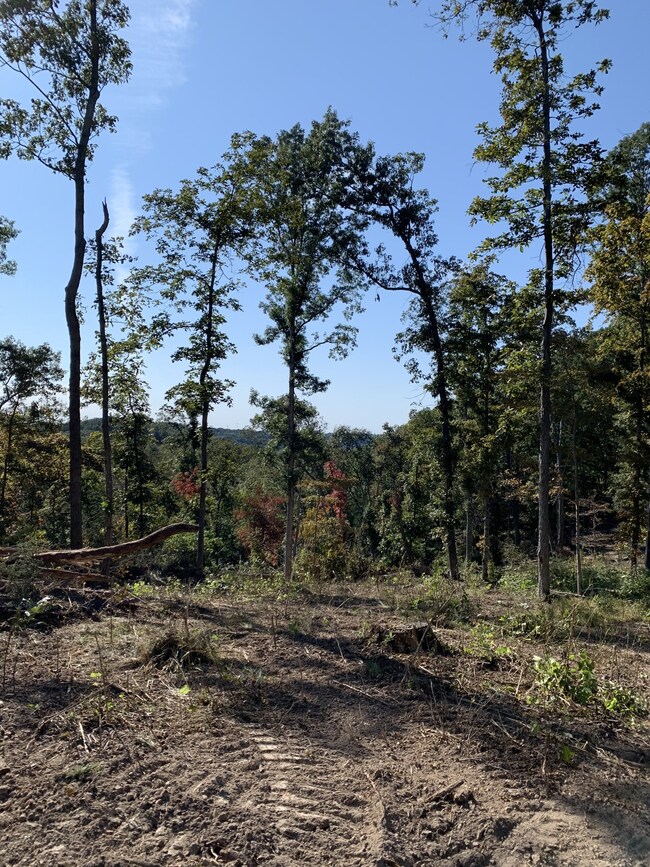 0 Hester Beasley Rd unit RTC2498520, Nashville, TN 37221 - photo 3