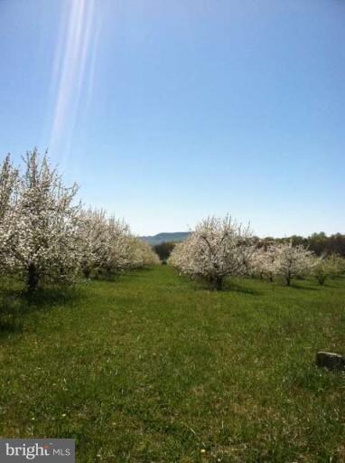 0 Buffalo Marsh Rd unit 1003881718, Middletown, VA 22645 - photo 2