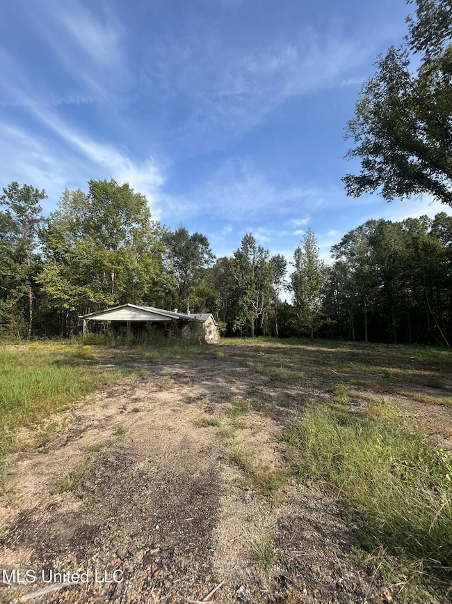 110 W Highway 28 Lot: 5, Harrisville, MS 39082 - photo 6