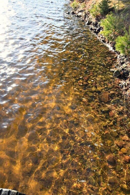 28892 Sweger Rd, Danbury, WI 54830 - photo 5