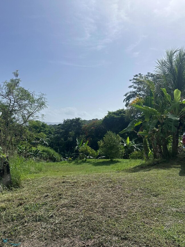 0 Carr 108 unit Lote 4 60998, Mayaguez, PR 00680 - photo 5