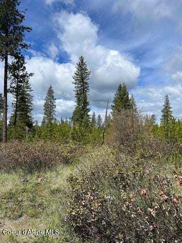 Hwy 2 5