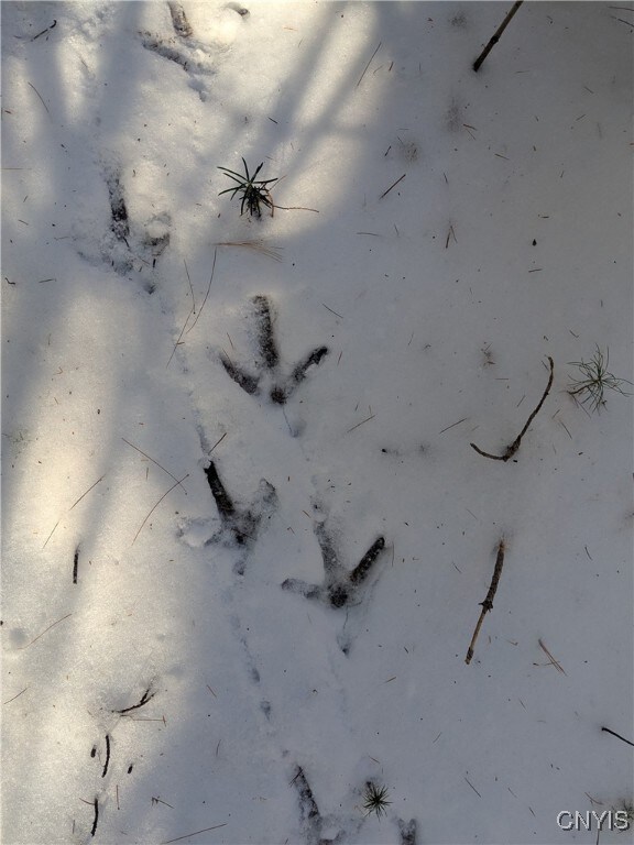 0 Bellingertown Rd unit S1651309, Forestport, NY 13338 - photo 6