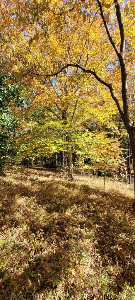 0 Gilliam Dr unit 96, Farmville, VA 23901 - photo 3