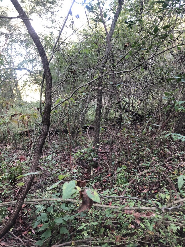 0 Ross Rd, Pulaski, TN 38478 - photo 2