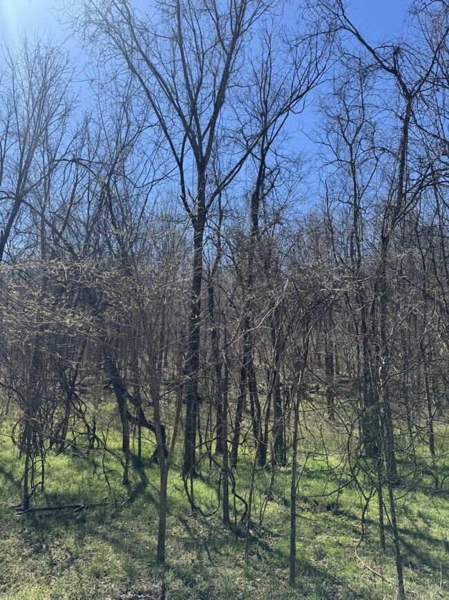 0 Crews Hollow Rd unit RTC2808625, Manchester, TN 37355 - photo 4