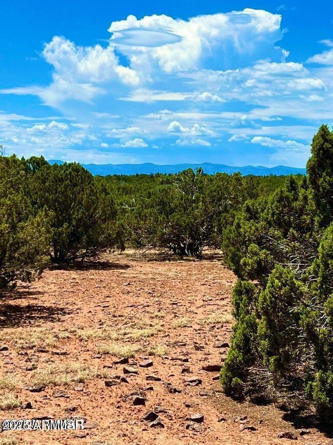 85 Co Rd 8070 --, Concho, AZ 85924 - photo 5