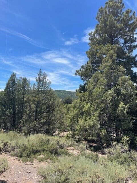 Lot 32 Cree Way unit Block A Long Valley, Duck Creek, UT 84762 - photo 7