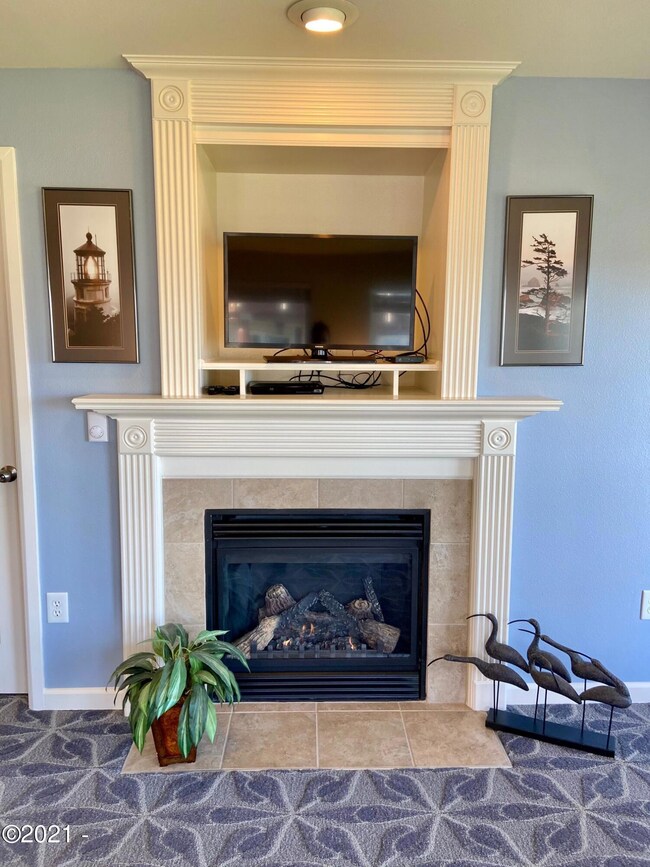 Gas Fireplace