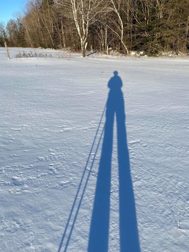 00 4 Corners Rd, Sutton, VT 05867 - photo 4