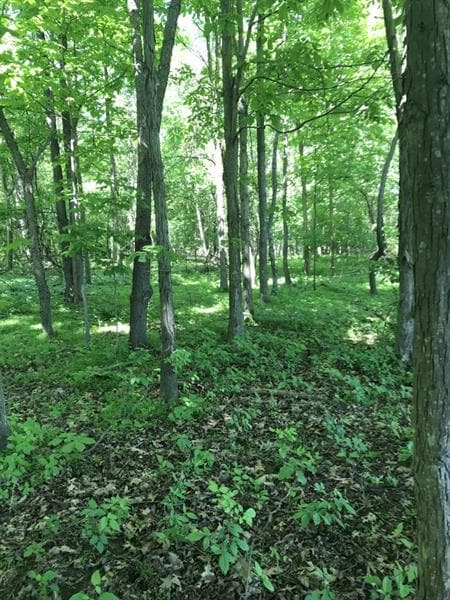0 Urban Road, Saltsburg