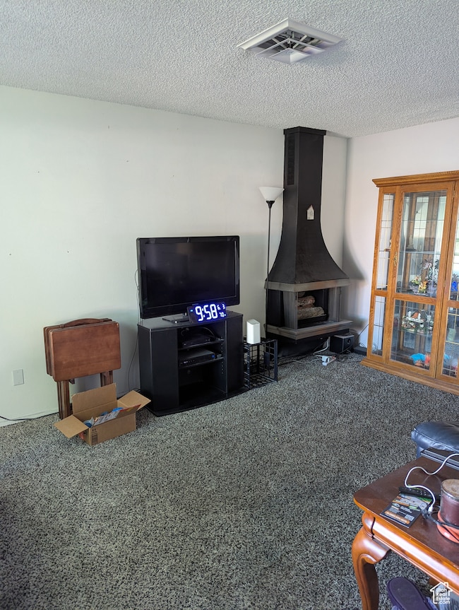 Carpeted living room with a textured ceiling