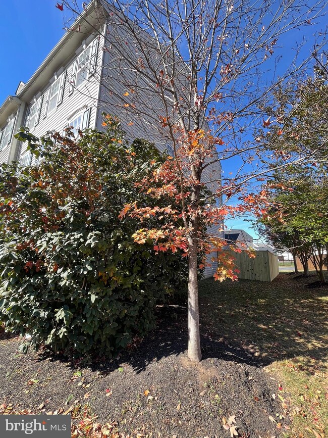 9180 Ribbon Falls Loop, Bristow, VA 20136 - photo 6