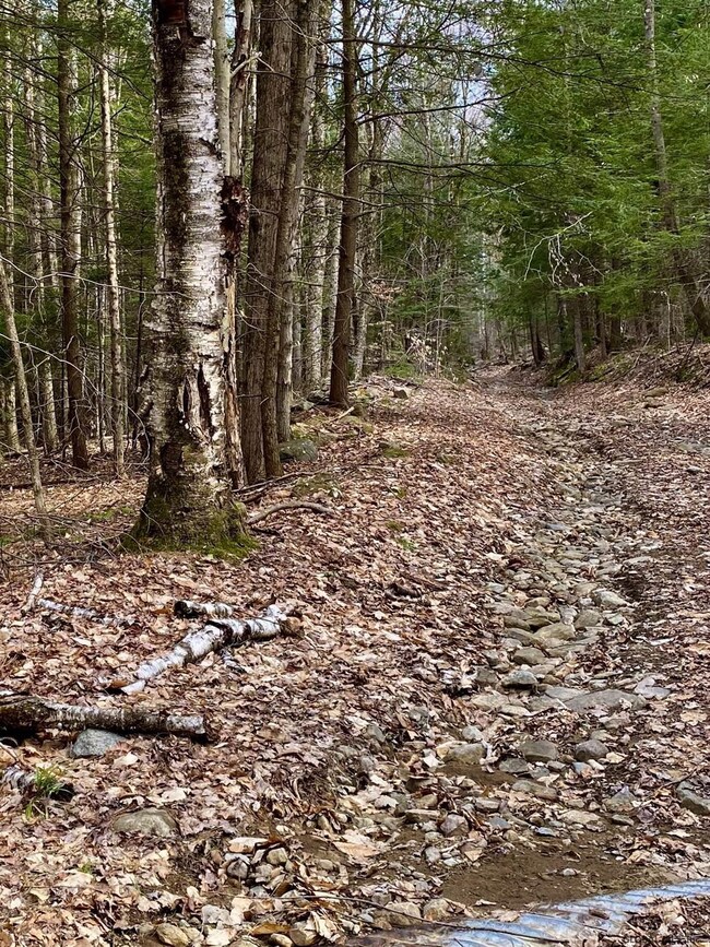 0 Raisig Rd unit 202121066, Corinth, NY 12822 - photo 4