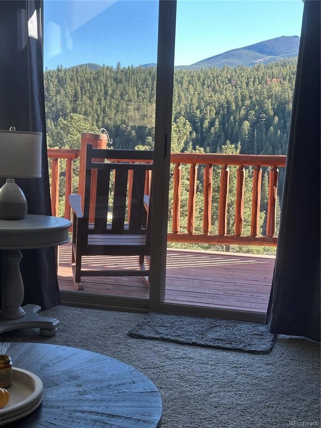 303 Virginia Rd unit C, Bailey, CO 80421 - photo 5