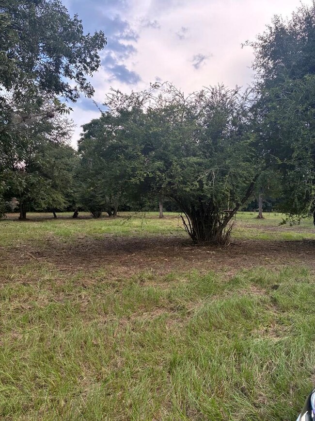 569 Henry Hart Rd, Leslie, GA 31764 - photo 3