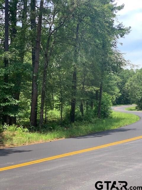 14358 Big Oak Bay Rd, Tyler, TX 75707 - photo 3