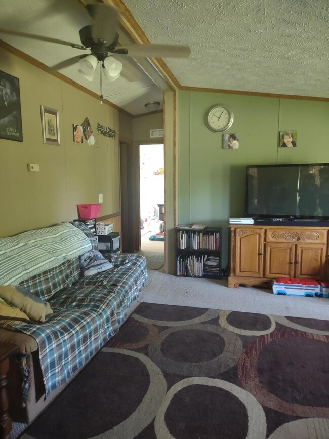 496 230th Ave, Reed City, MI 49677 - photo 6