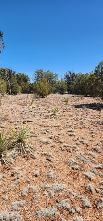 Lot B Roaming Way, Seligman, AZ 86337 - photo 4
