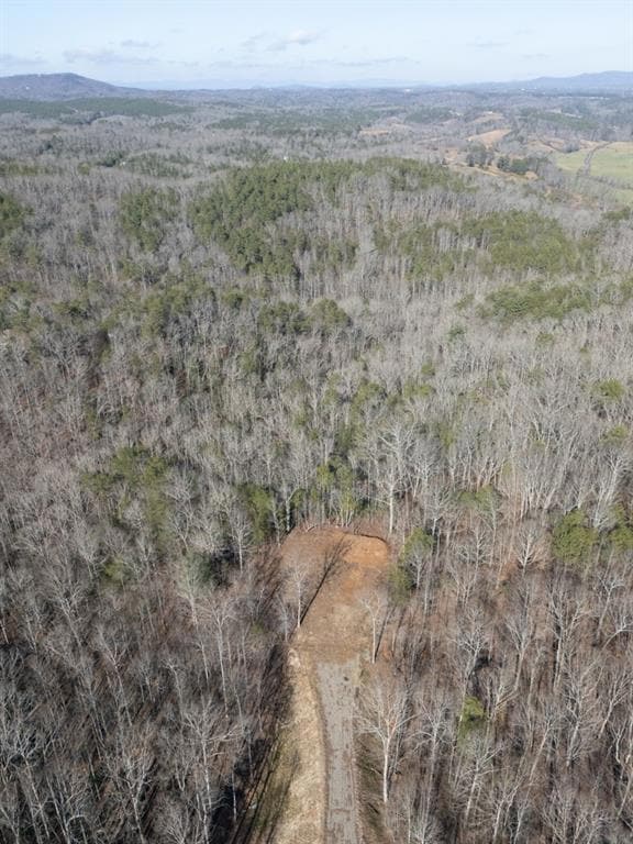 Lot 9 Bethany Rd, Jasper, GA 30143 - photo 3