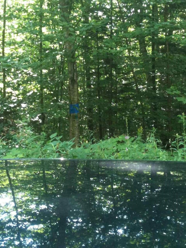 00 Clement Rd, Orange, VT 05086 - photo 5