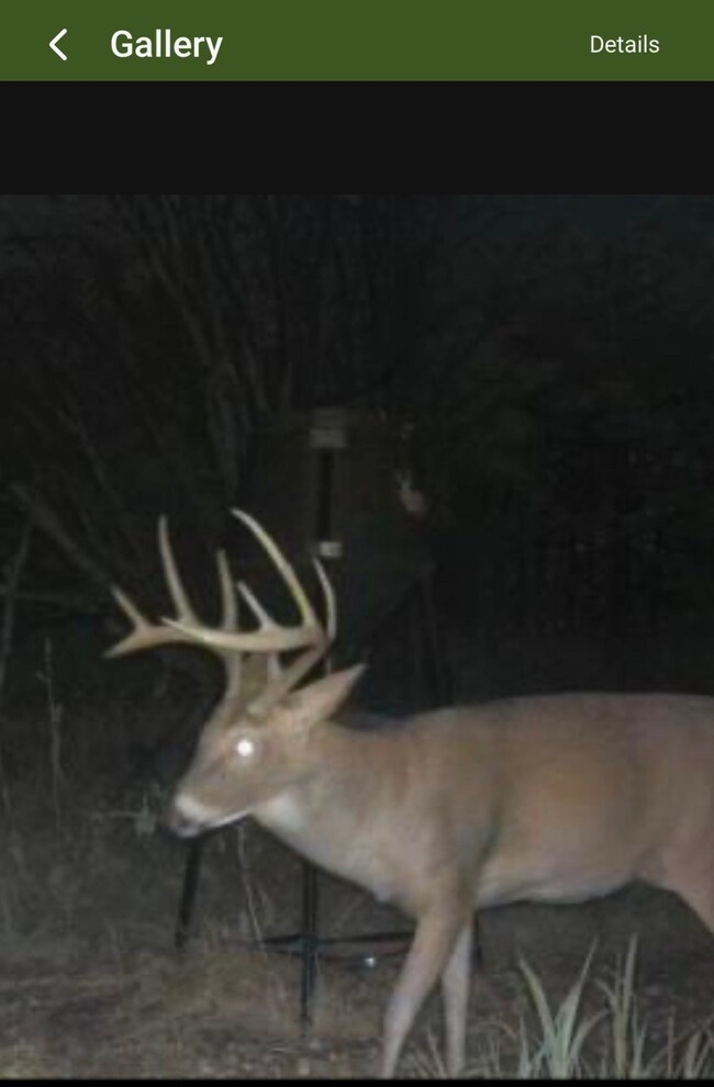 1249 4th St, Dwight, KS 66849 - photo 4