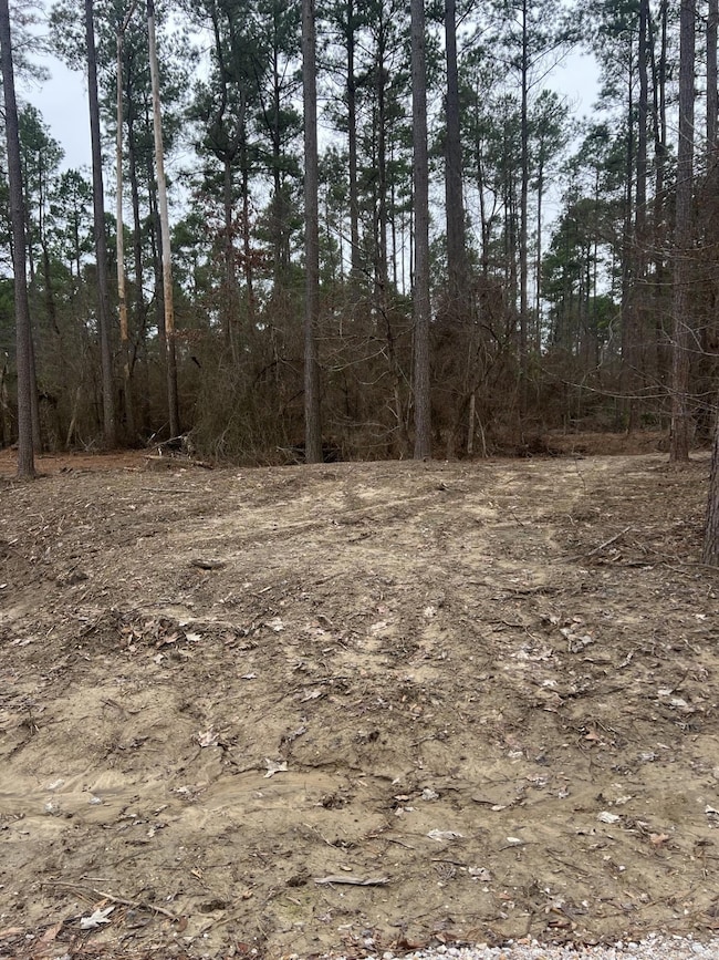 1028 Red Wings Rd, Bismarck, AR 71929 - photo 2