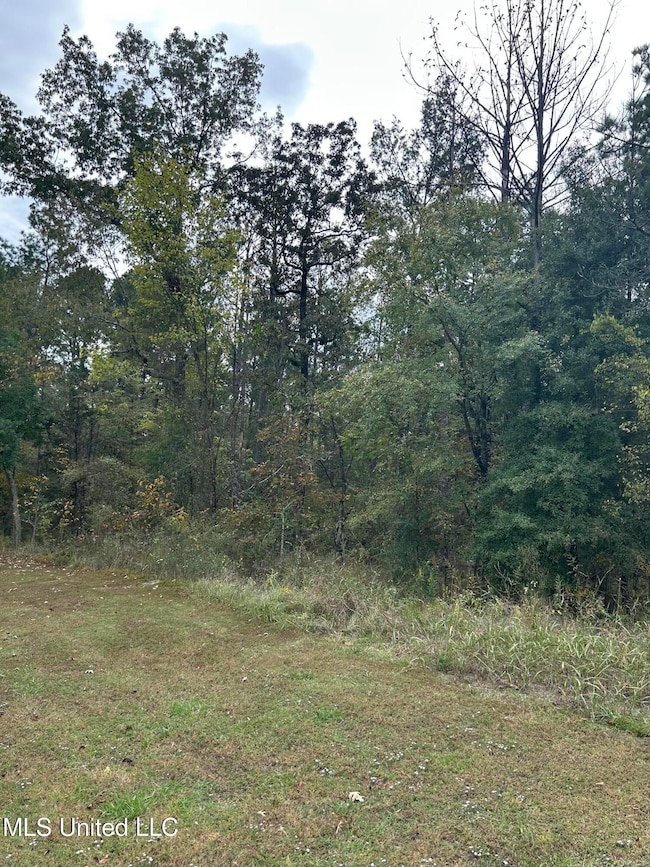 Tbd Old Fannin Rd, Brandon, MS 39047 - photo 2