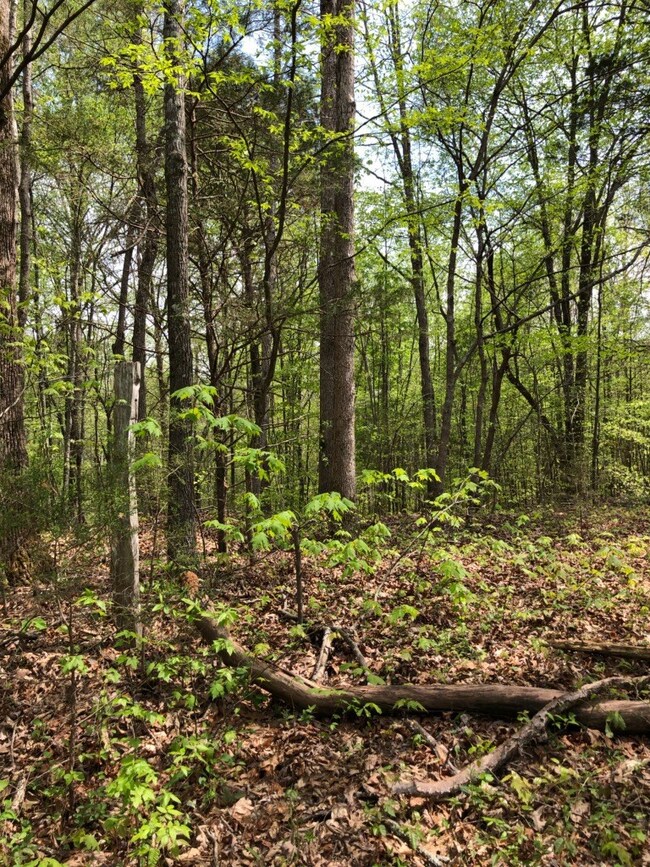 00 Browntown Rd, Sparta, TN 38583 - photo 2