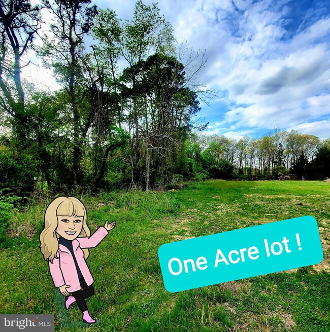 117 Bramau Ave, Berlin, NJ 08009 - photo 3