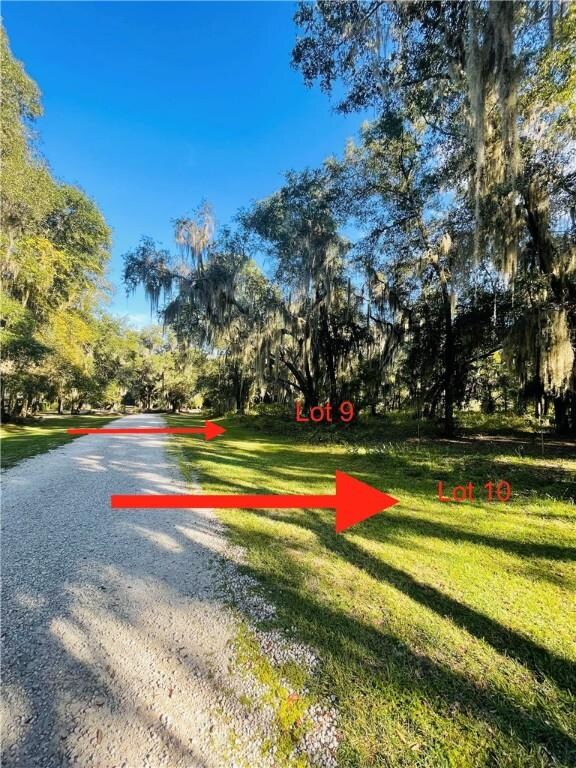 Lot 9 Carnochan Bluff, Darien, GA 31305 - photo 2