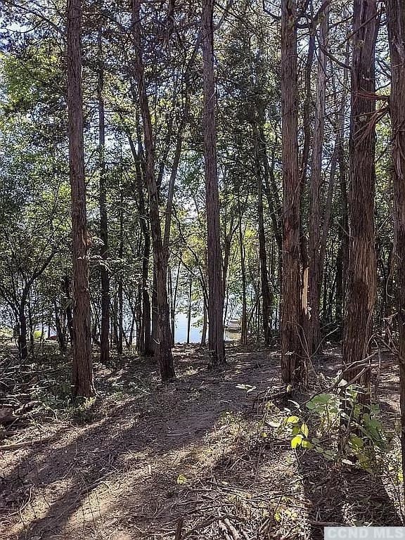 66 Tammy Trail, Coxsackie, NY 12015 - photo 2