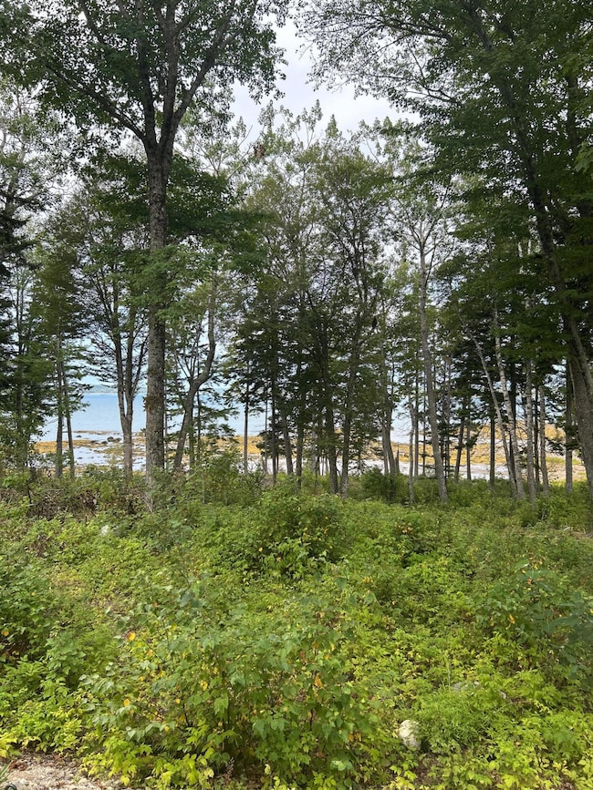 216 S Estates Rd, Steuben, ME 04680 - photo 2