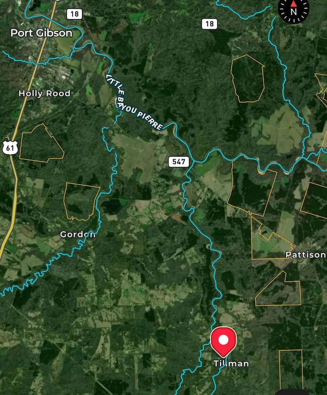 Tillman Chapel Rd, Port Gibson, MS 39150 - photo 2