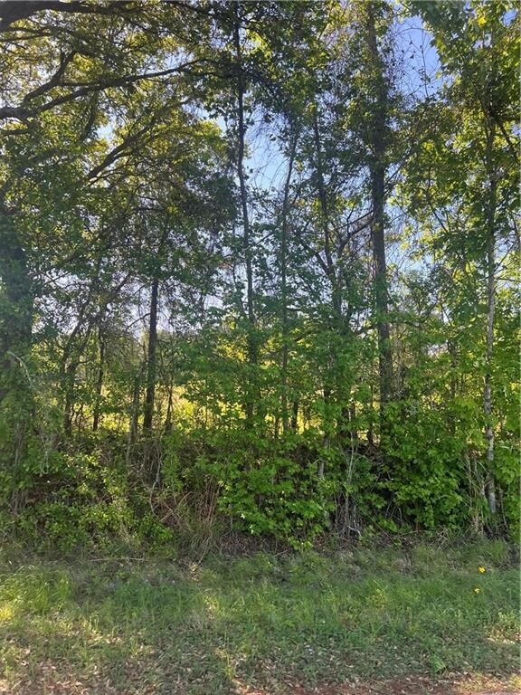 1916 Fairfield Rd, Colfax, LA 71417 - photo 4