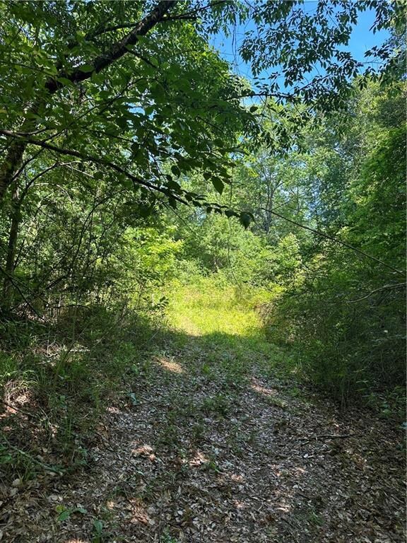 6.671 acres Lawrence Creek Rd, Franklinton, LA 70438 - photo 5
