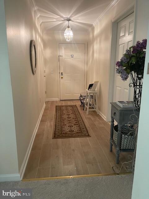 137 Timberbrook Ln unit 102, Gaithersburg, MD 20878 - photo 5