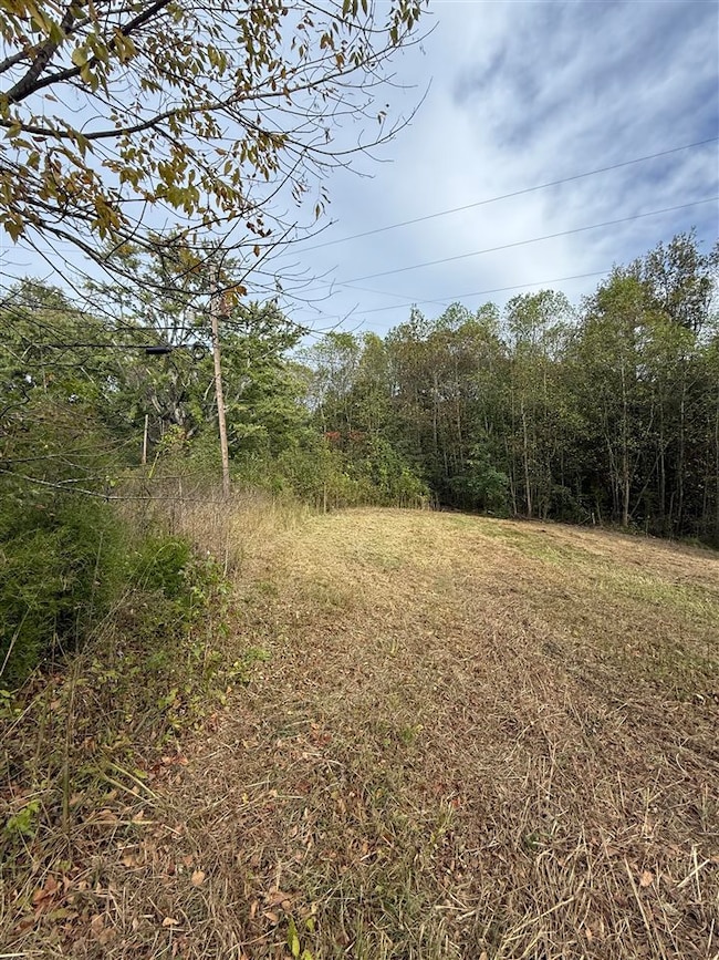 0 Cool Springs Rd unit RA20256983, Morgantown, KY 42261 - photo 5