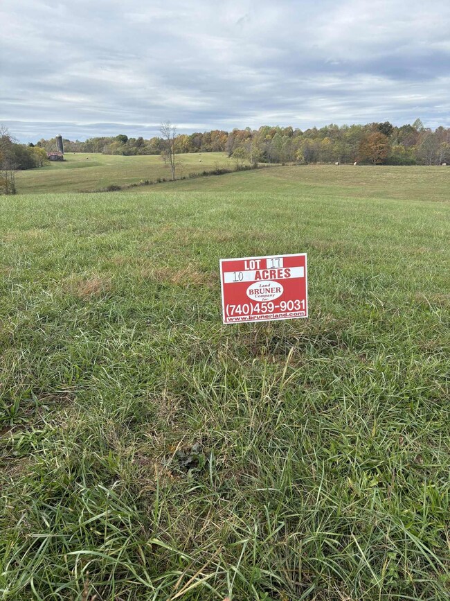 Pine Grove Ch Rd, Vanceburg, KY 41179 - photo 5