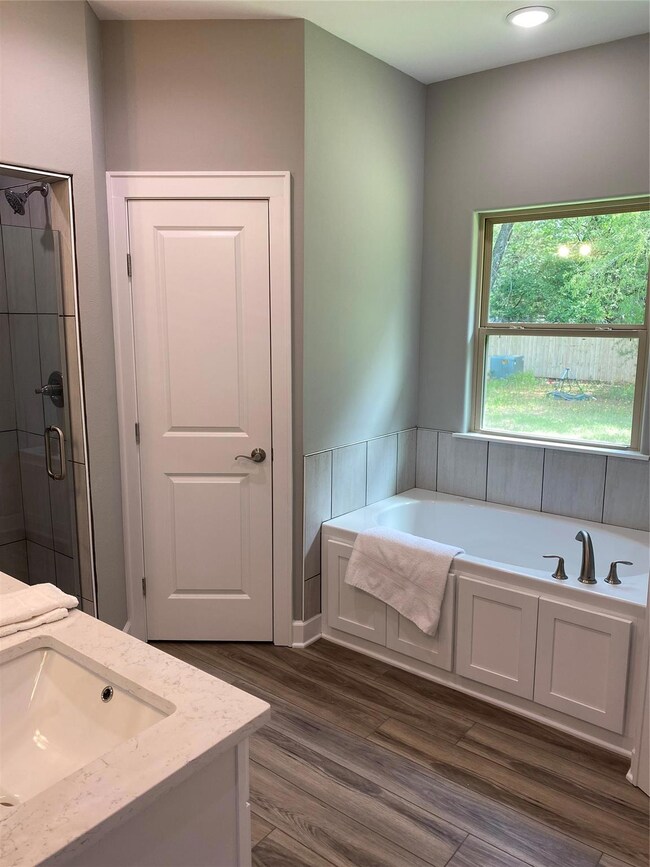 Bathroom with wood-type flooring, vanity, and plus