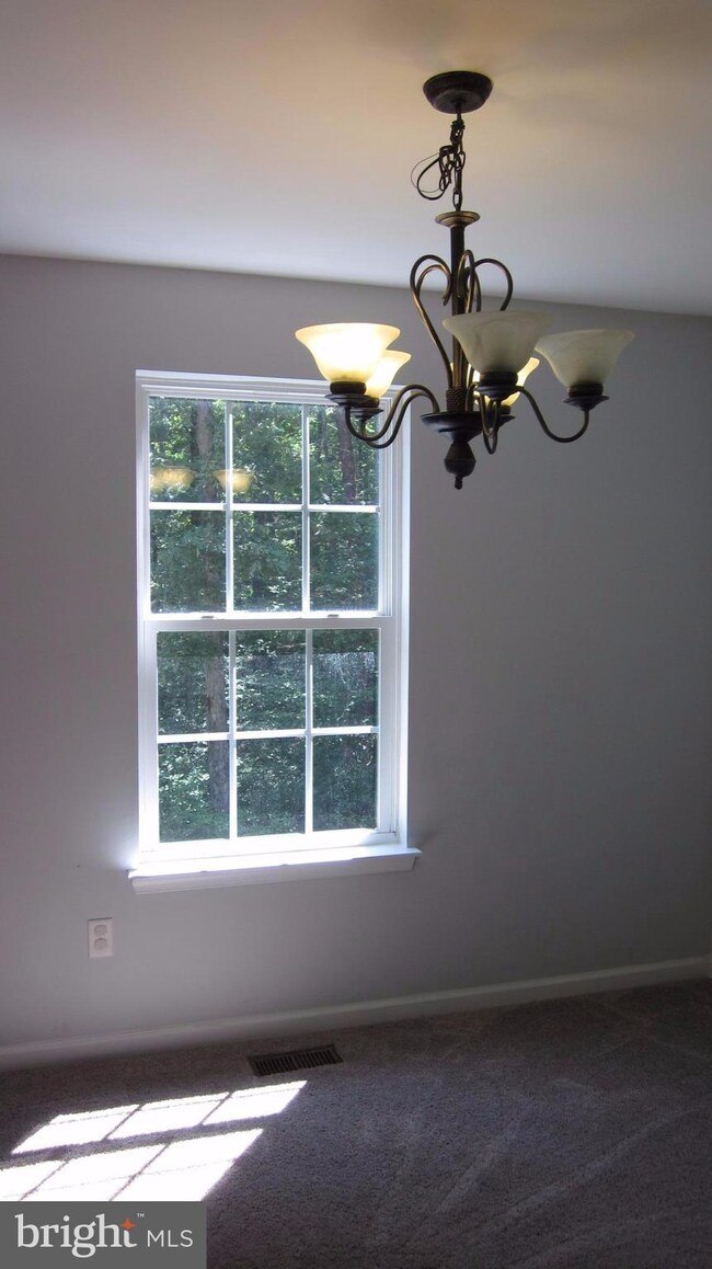 10438 Cecelia Ln, Locust Grove, VA 22508 - photo 6