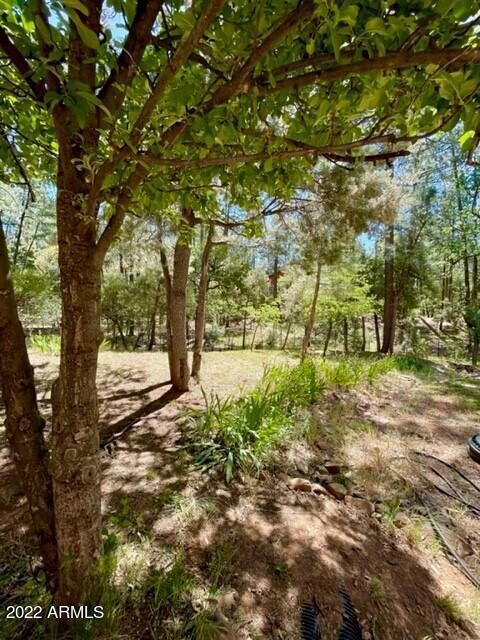 5141 N Bobs Bend Rd, Strawberry, AZ 85544 - photo 6